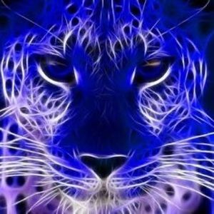 Meet your Posher, Teri